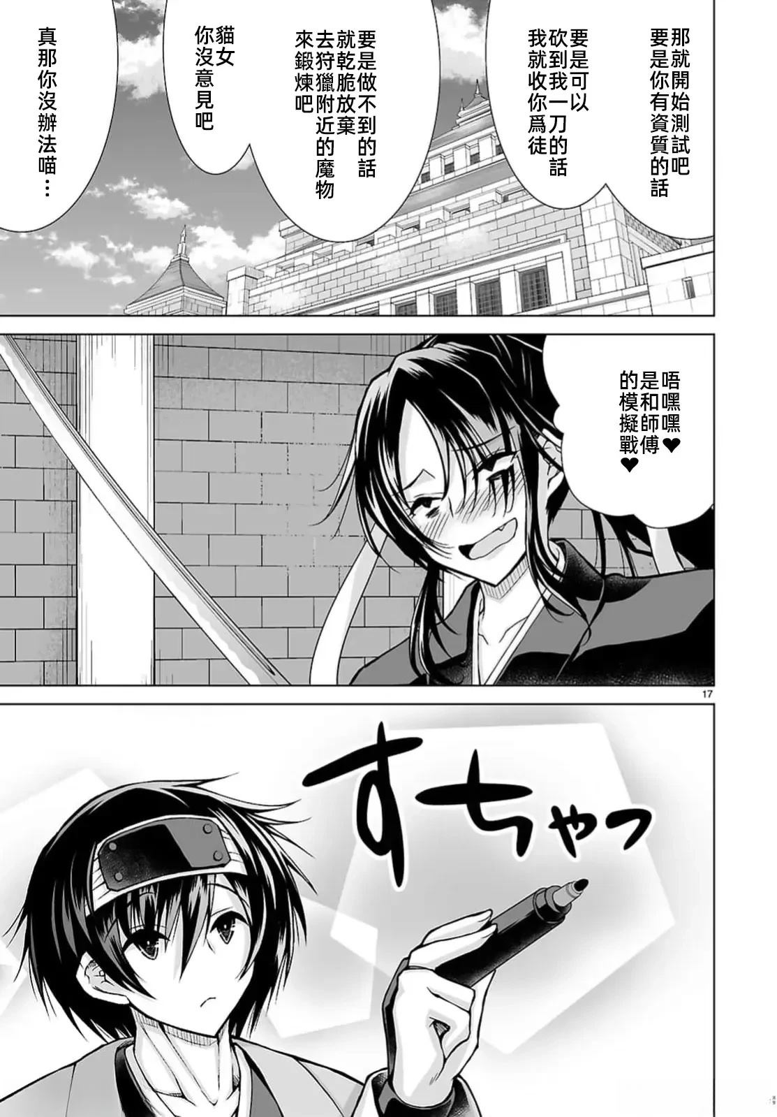 第17页