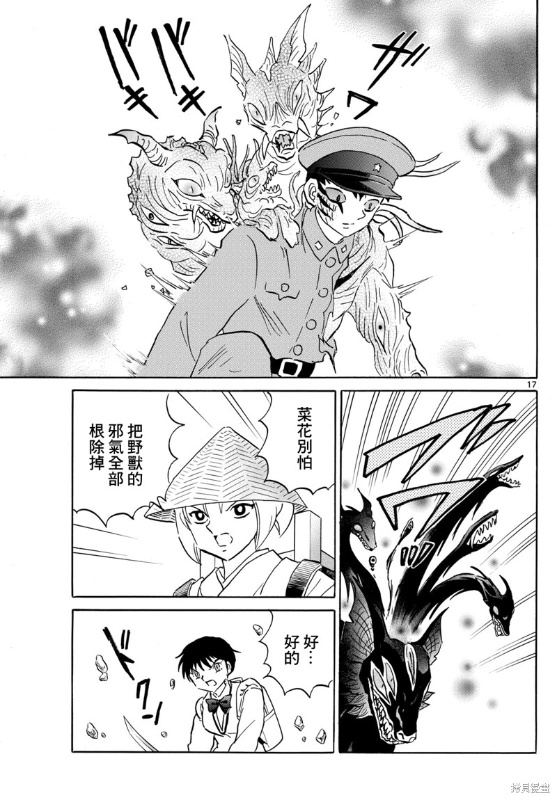 第17页