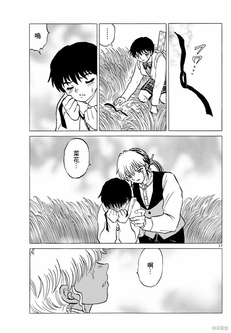 第17页
