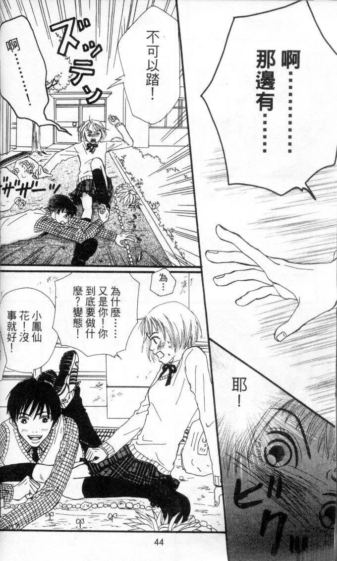 第43页